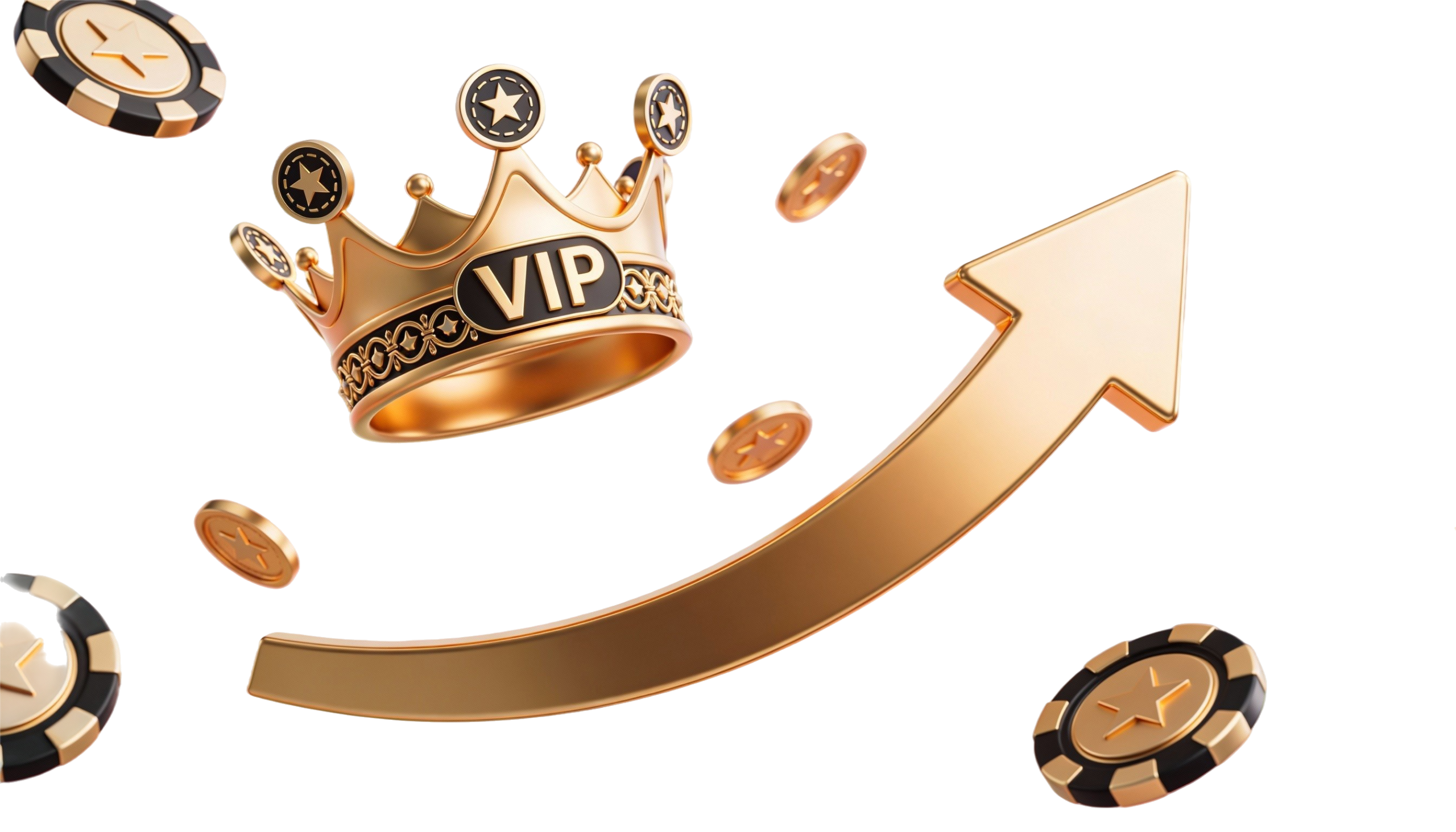 Loyalty and VIP Programs